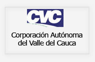 cvc